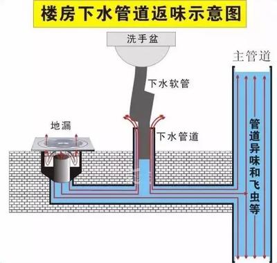 告別廚衛(wèi)臭味？先從讀懂地漏開始！